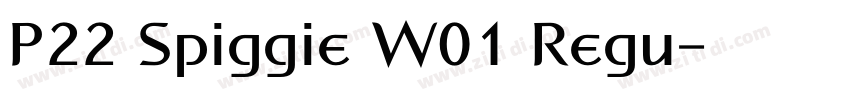 P22 Spiggie W01 Regu字体转换